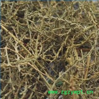西河柳 统 产地 安徽省亳州市谯城区 双鹏药材行 可提供打粉图2
