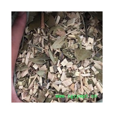 扶芳藤 金线风、九牛造、靠墙风、络石藤、爬墙草、爬墙风、爬墙虎统 产地 广西壮族自治区