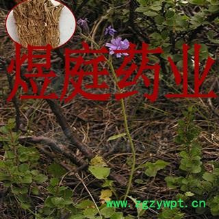 煜庭药业 岩参 石参 野生石参根 优质图3