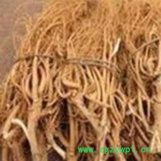 煜庭药业 岩参 石参 野生石参根 优质图2