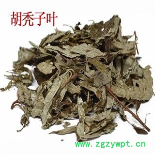 煜庭药业 胡秃子叶 厚的 胡颓子叶 胡颓子 别称 蒲颓叶 胡秃子 鸡卵子 幽谷巨人 半春子 甜棒槌 雀儿酥 羊奶子 羊奶奶 牛奶咪图3