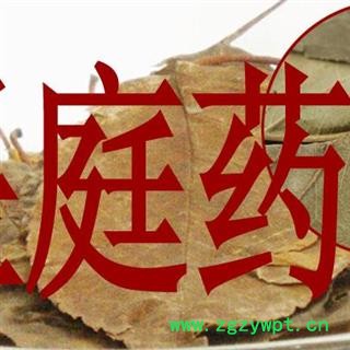 煜庭药业 山楂叶图3