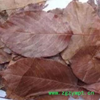 煜庭药业 山楂叶图2