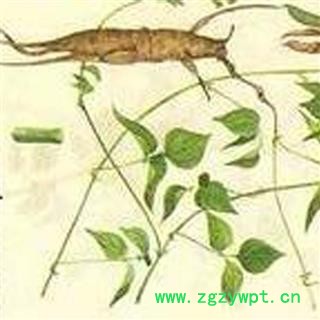 煜庭药业 大麻药图2