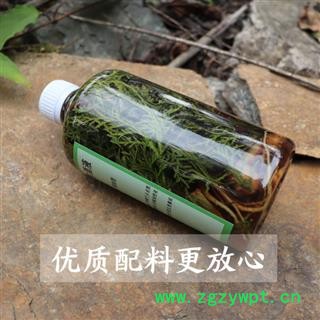 侧柏叶生发增发水新鲜侧柏叶生姜泡酒精生发防脱洗发水老姜侧柏叶图3