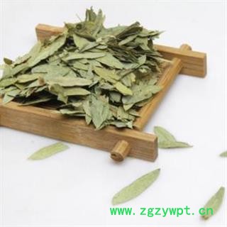 番泻叶&【国舜堂】 源头货源 量大从优 中药材批发供应【番泻叶】图2