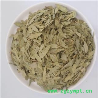 番泻叶&【国舜堂】 源头货源 量大从优 中药材批发供应【番泻叶】图3