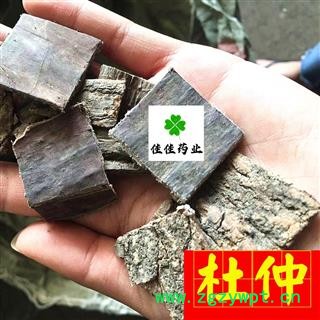 杜仲 四方块 选 产地 四川省 杜仲皮 正品杜仲图3