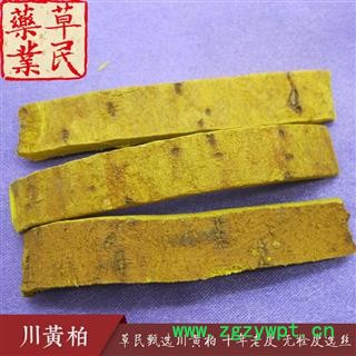 草民甄选道地川黄柏 十年老皮 无栓皮选丝 专业批发量大从优图2