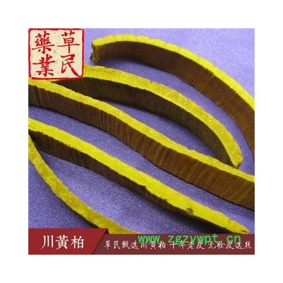 草民甄选道地川黄柏 十年老皮 无栓皮选丝 专业批发量大从优