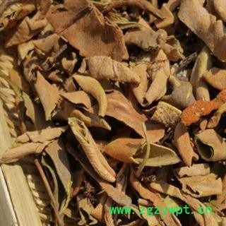 中药材石韦 产地四川 品种齐全 安国市场批发零售大全图2