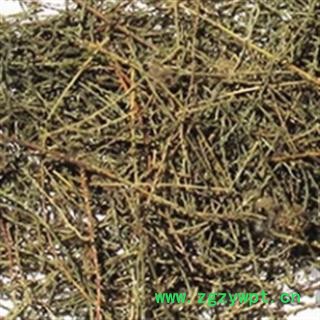 诺源中药材西河柳 怪柳图2