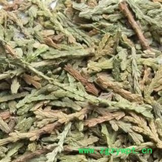 诺源药材行中药材正品侧柏叶 优质新货图2