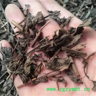 诺源药材行中药材莽草   芒草  红桂图2