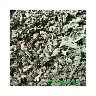 诺源药材行中药材楮叶  楮桃叶 楮树枝