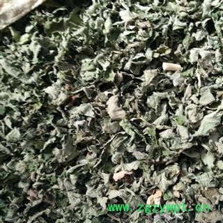 诺源药材行中药材楮叶  楮桃叶 楮树枝图2