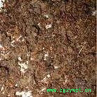 诺源药材行中药材优质冷背杨树须 杨树芽图3