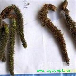 诺源药材行中药材优质冷背杨树须 杨树芽图2