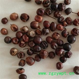 安祁名药十大功劳叶 功劳籽图2