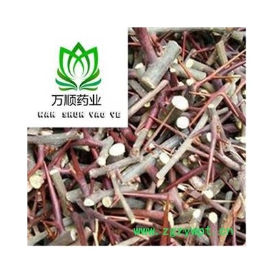 皂针 有刺有杆 货如实图 质量好 价格低  产地 山东省