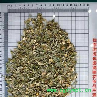 安祁名药相思叶  相思藤图2