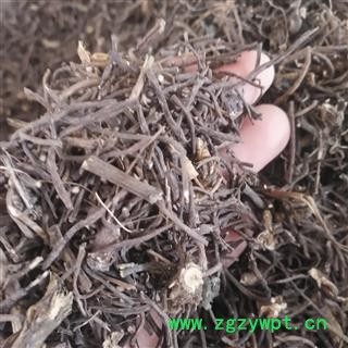 安祁名药正品榕树须 榕树叶  半天吊图3