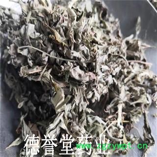 艾叶 大叶切片 艾叶 产地 山东 批发各种中药材图2
