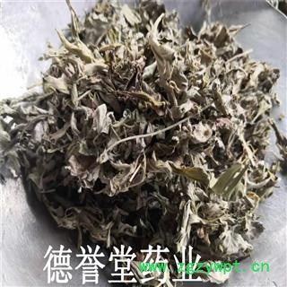 艾叶 大叶切片 艾叶 产地 山东 批发各种中药材图3