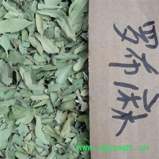 罗布麻叶 大叶 选 罗布麻  产地 新疆 德誉堂药业批发各种中药材图2