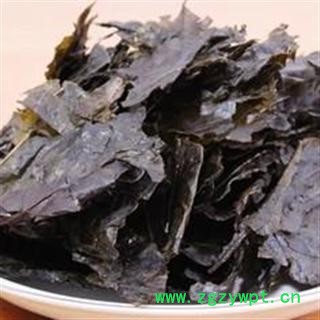 毛冬青叶 选  产地 广东省 德誉堂药业批发各种中药材图2