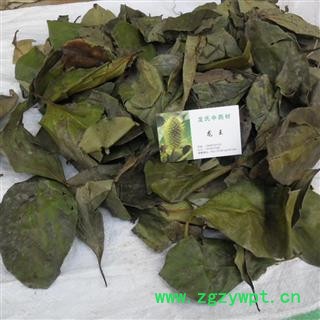 柿子树叶 统货 产地 四川省成都市双流县图2