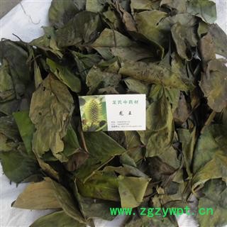 柿子树叶 统货 产地 四川省成都市双流县图3