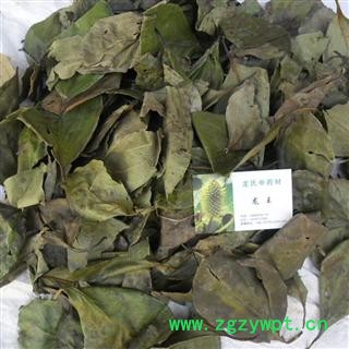 柿子树叶 统货 产地 四川省成都市双流县图4