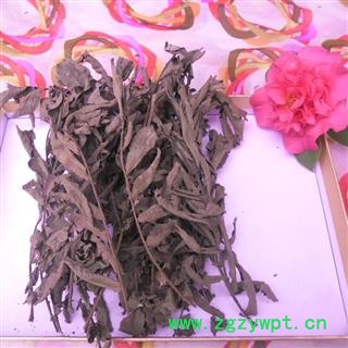 麻柳叶 精品货 产地 四川省成都市双流县图2