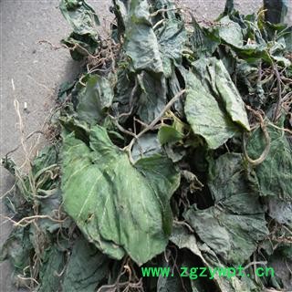 青天葵 精品好货 产地 四川省成都市双流县图4