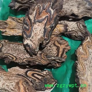 安祁名药中药材龙骨风  大贯众 飞天蠄蟧图3