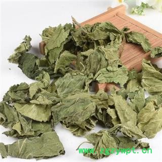 优质霜后桑叶 秦岭地产山民自采 日晒无硫散装1000g【打折已结束】图3