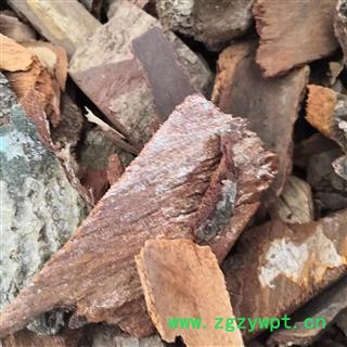 安祁名药正品地枫皮 钻地风图3