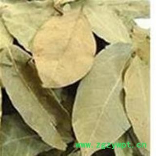 香叶 精品香叶 颜色好气味浓郁 产地直销 产地 广西壮族自治区图3