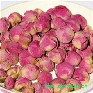 牡丹花 产地 安徽省图2