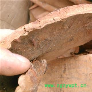 肉桂 紫油桂板块 片1000克促销批发产地 广西壮族自治区图2