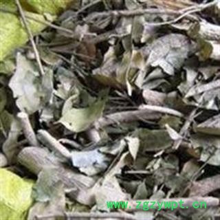 小丽百草行九里香 透骨香 满山香 万里香图2