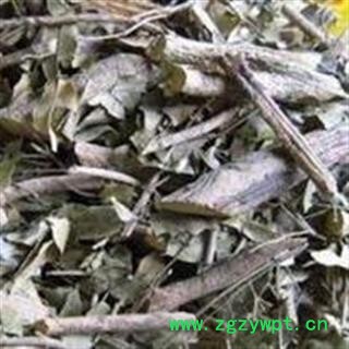 小丽百草行九里香 透骨香 满山香 万里香图3