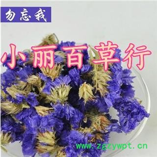 花茶 勿忘我  统25  选40图2