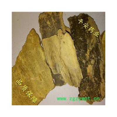平安药业 椿皮 椿根皮 椿白皮 正品 促销