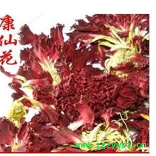 平安药业 康乃馨 康仙花 狮头石竹 大花石竹 荷兰石竹图2