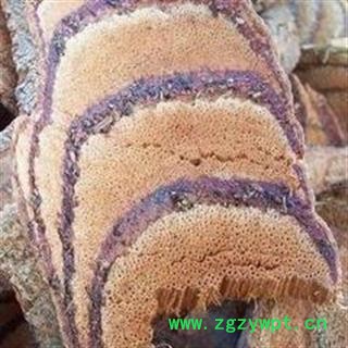 鸡血藤 鸡血藤统片 产地 云南省 大货批发价图2