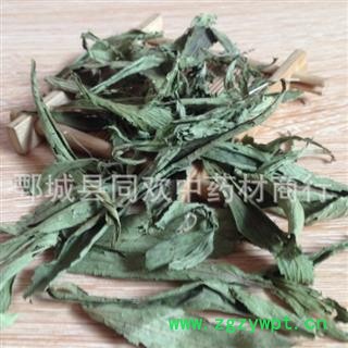 【新货甜叶菊】@【同欢药材】中药材批发供应 规格齐全 量大从优  产地 安徽省图2