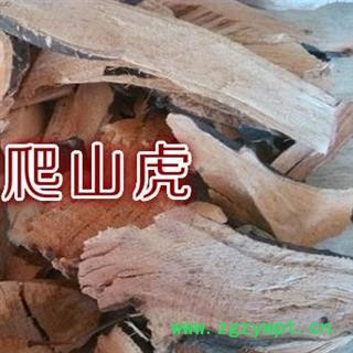 小丽百草行 三角风 爬山虎 爬墙虎 小叶红藤 中草药图2