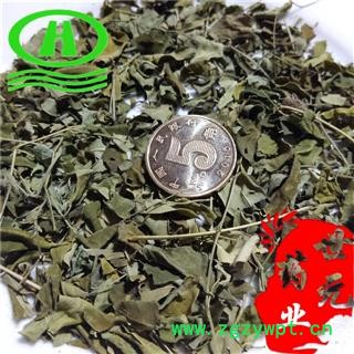 世元药业 辣木叶 鼓槌树叶 印度原产图2